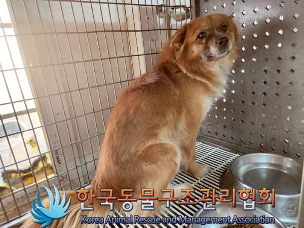 한국동물구조관리협회_441392202400015
