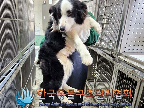 종료(반환) 보더 …