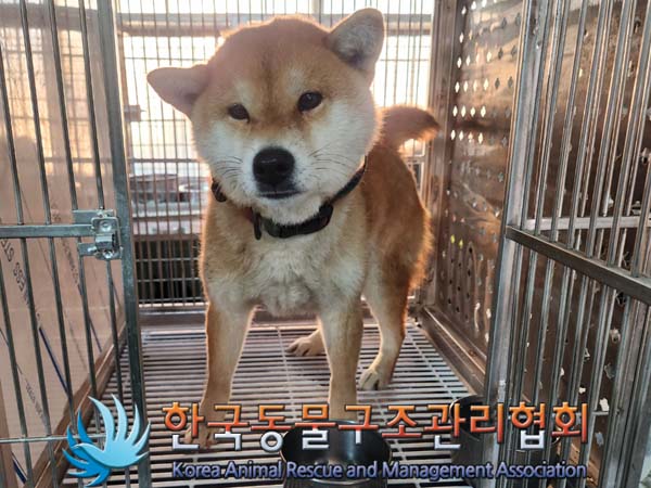 한국동물구조관리협회_441560202400049