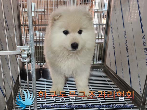 한국동물구조관리협회_441560202400051