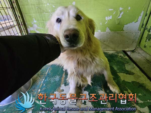 한국동물구조관리협회_441392202400017