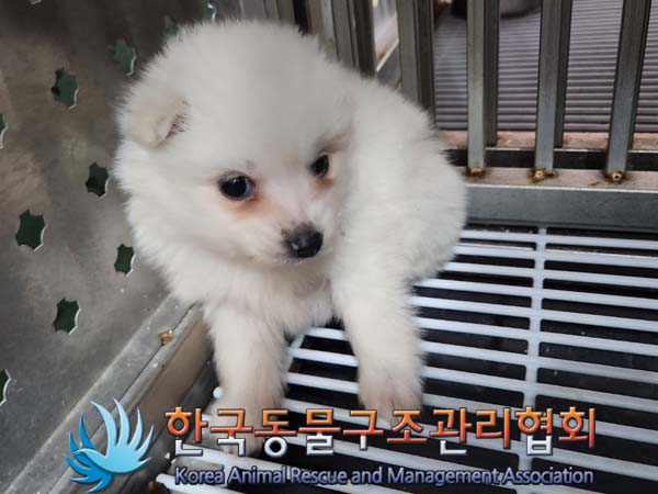 한국동물구조관리협회_441409202400060
