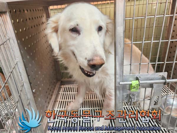 한국동물구조관리협회_441409202400062