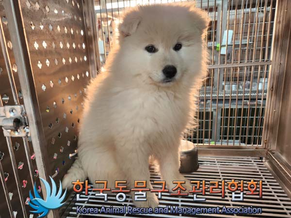 한국동물구조관리협회_441560202400052