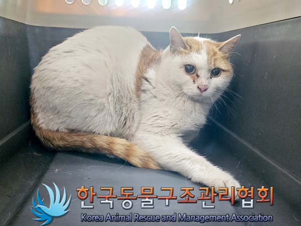 한국동물구조관리협회_441414202400036