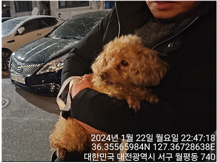 종료(반환) 푸들의…