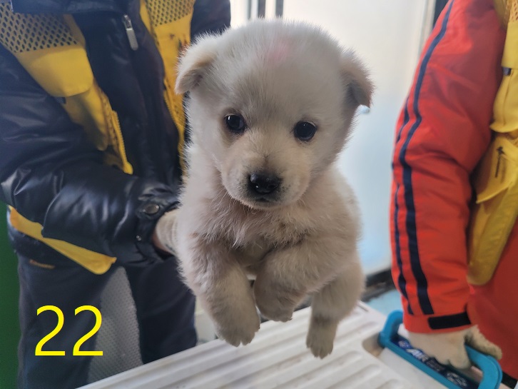 신영재동물병원_428355202400022