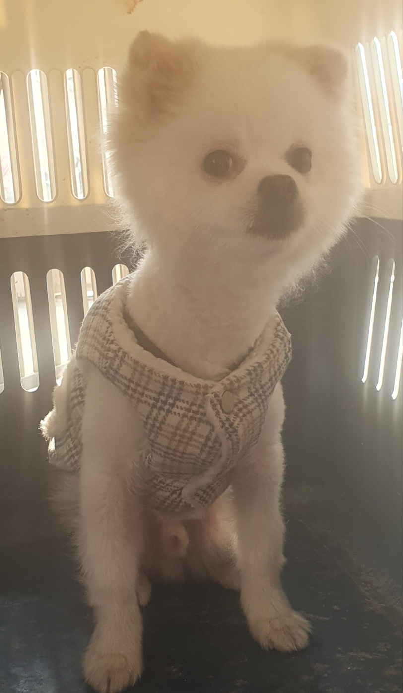 하남동물보호센터_441404202400010