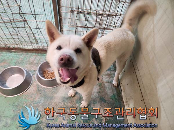 한국동물구조관리협회_441406202400101