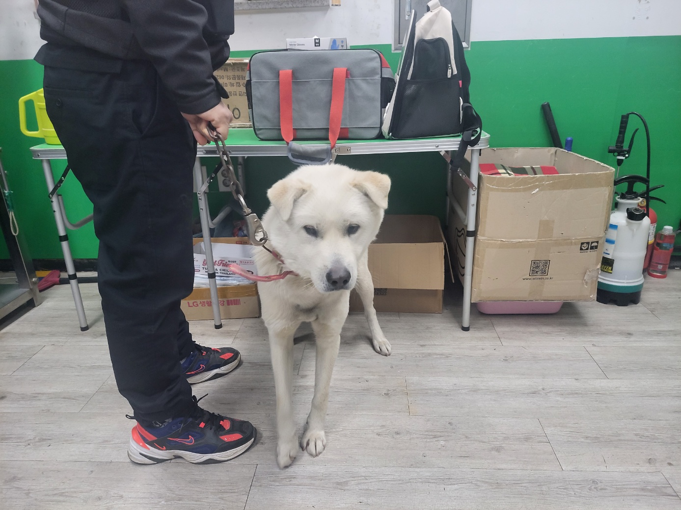 고양시동물보호센터_441394202400062