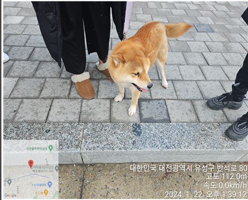 대전동물보호센터_430367202400029