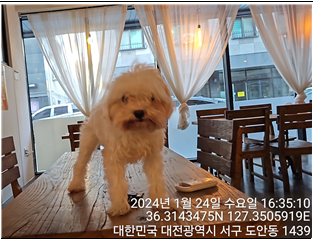 대전동물보호센터_430366202400021