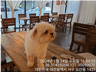 대전동물보호센터_430366202400020
