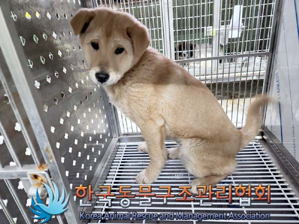 한국동물구조관리협회_441560202400054
