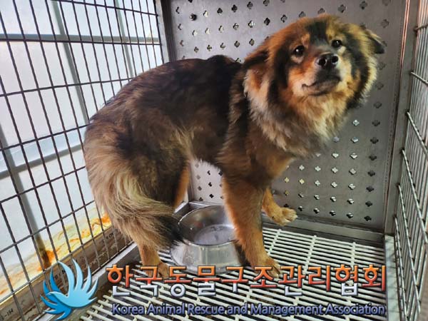 한국동물구조관리협회_441406202400113