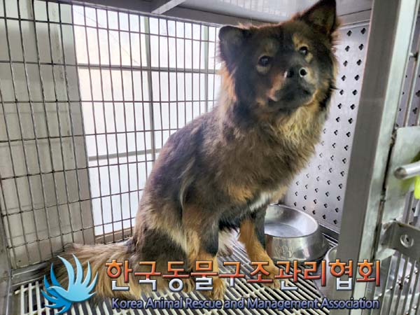한국동물구조관리협회_441406202400111