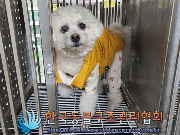 한국동물구조관리협회_411310202400005