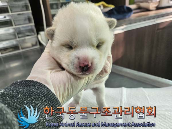 한국동물구조관리협회_441414202400046