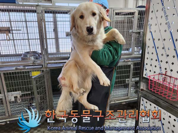 한국동물구조관리협회_411309202400010