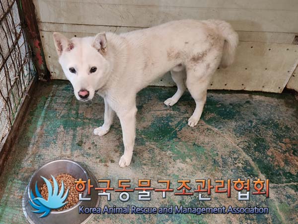 한국동물구조관리협회_441409202400070