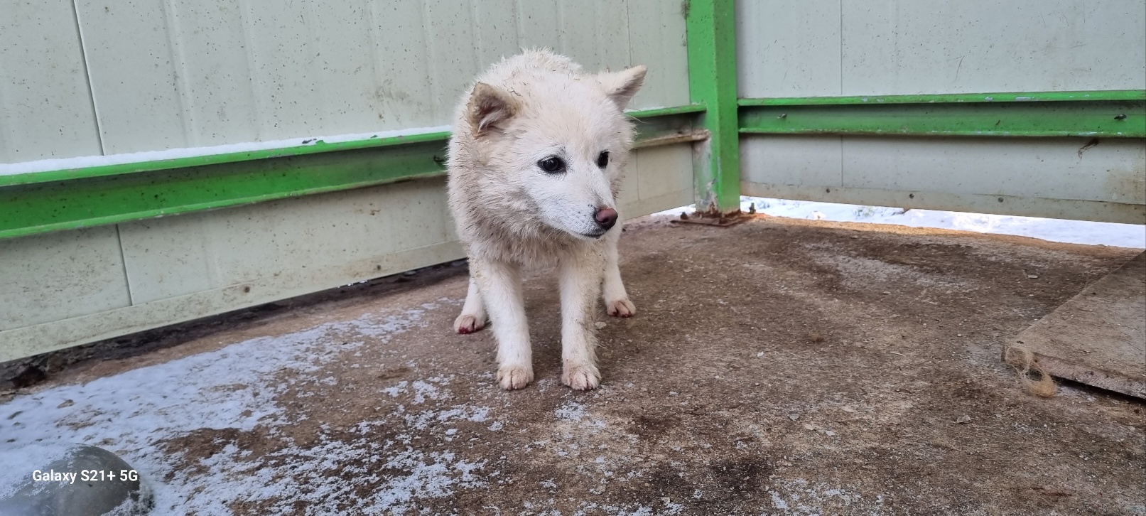 전북말산업복합센터_445471202400062