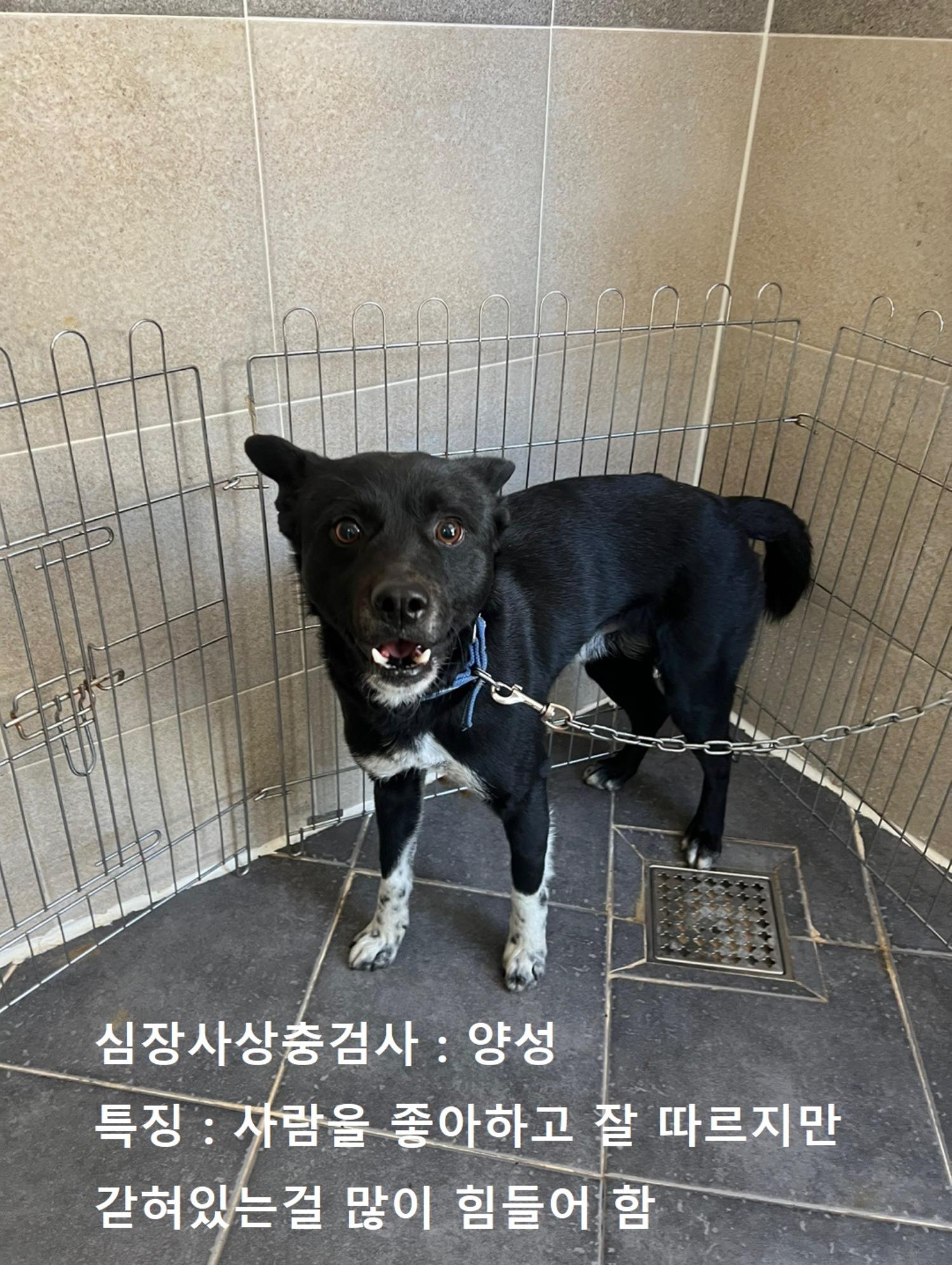 현풍동물병원_427348202400033