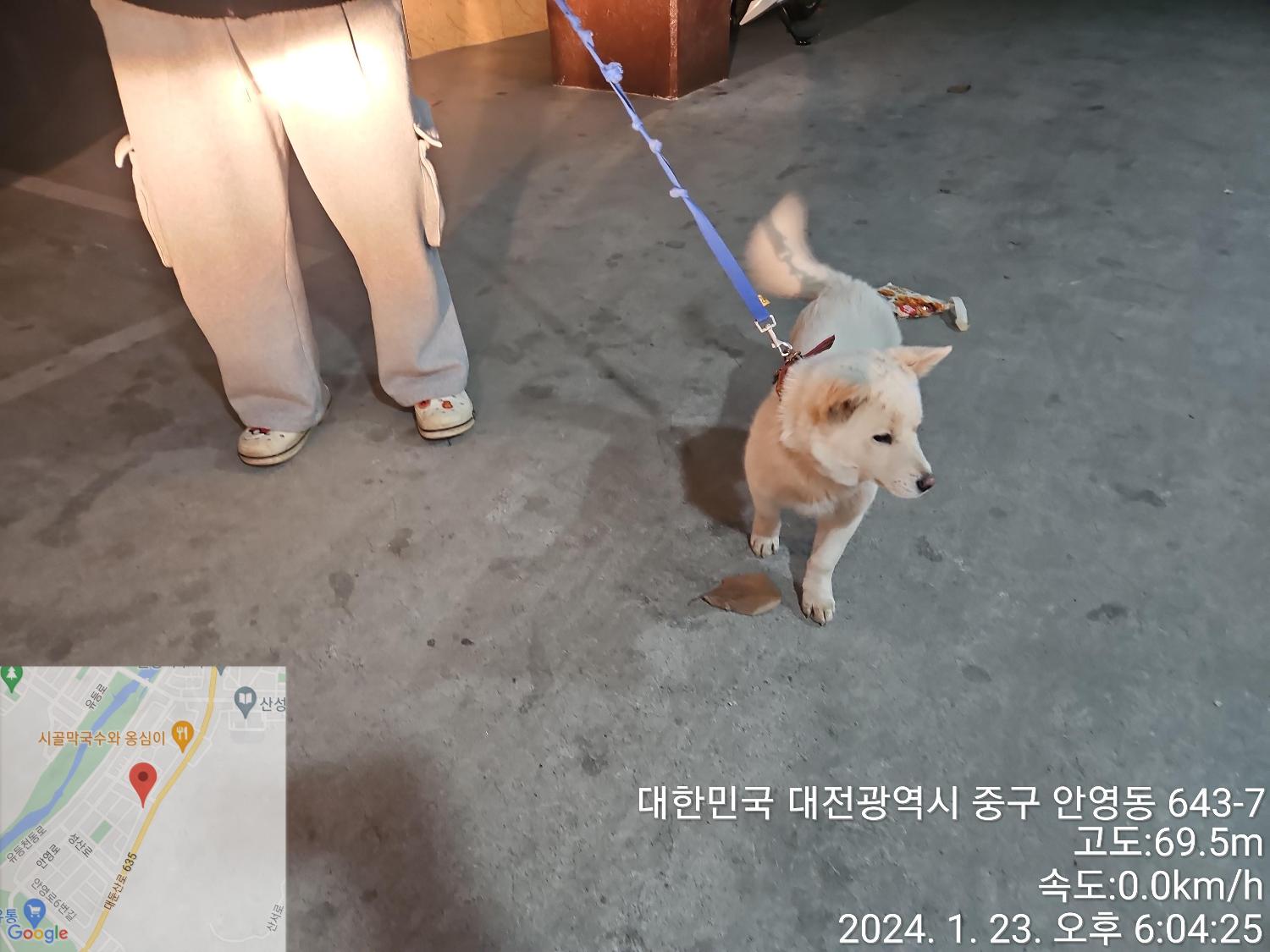 대전동물보호센터_430365202400016