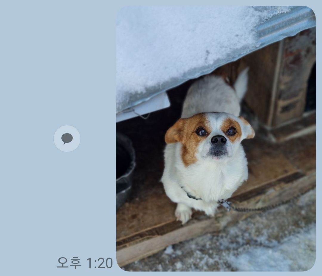정선가축병원_442429202400030