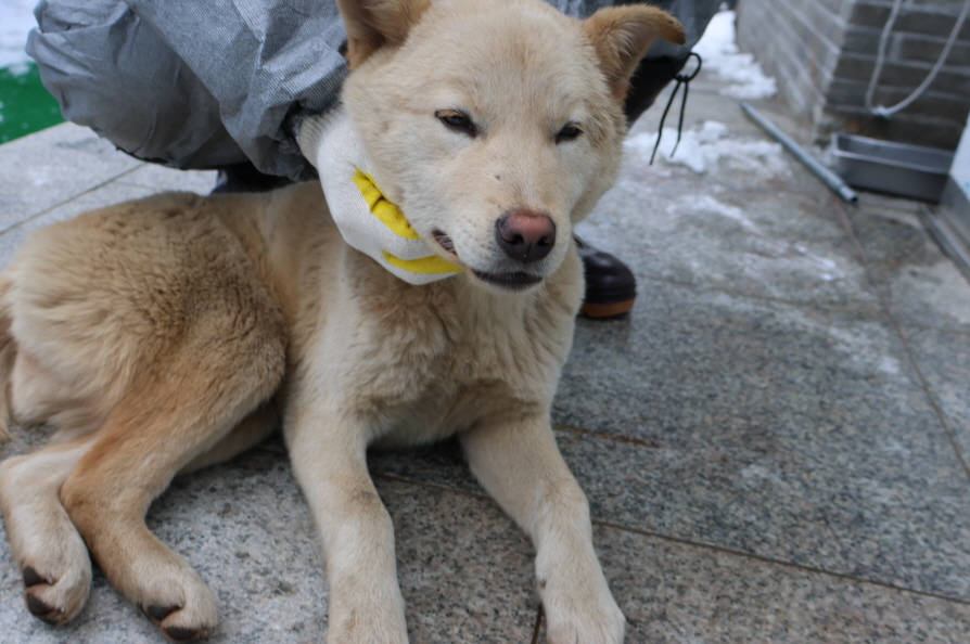 제주 동물보호센터_450650202400280