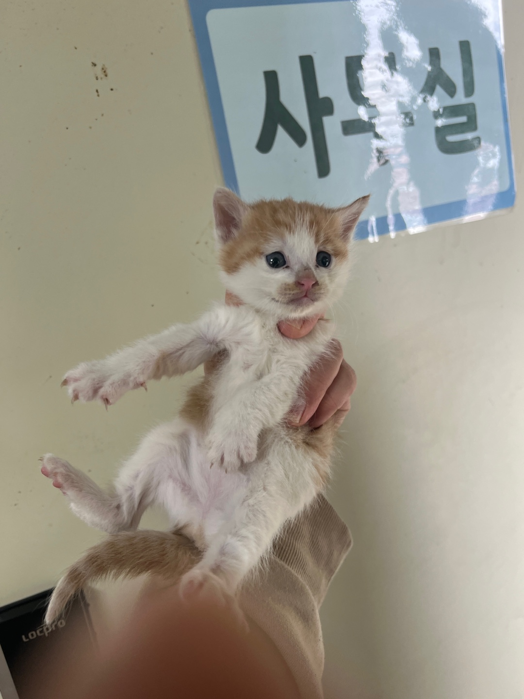 부산동물보호센터_426325202400009