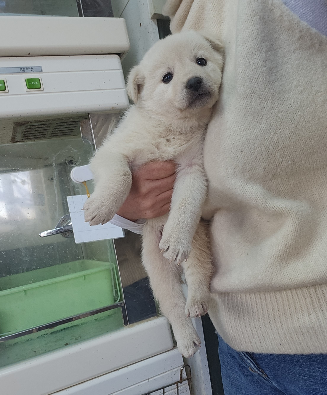 울산유기동물보호센터_431373202400047