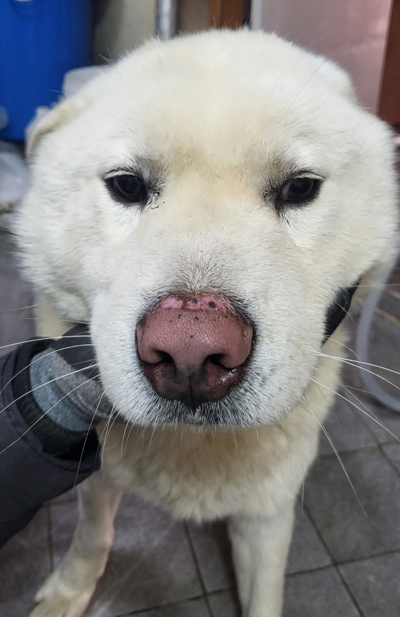 이성준동물병원_441408202400047