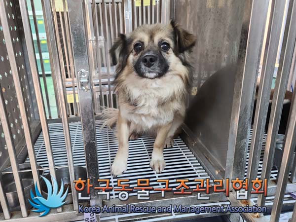 한국동물구조관리협회_411309202400011