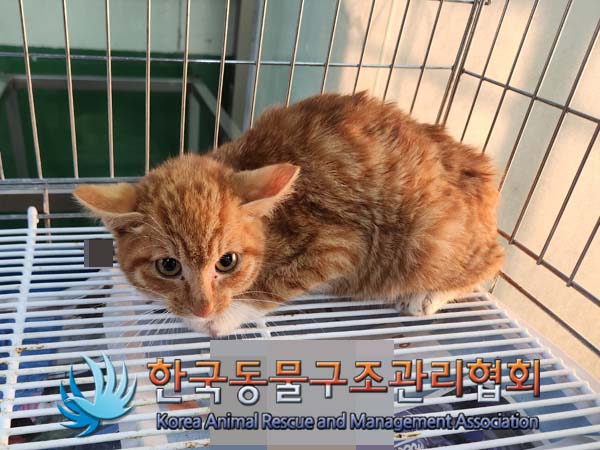한국동물구조관리협회_411323202400010