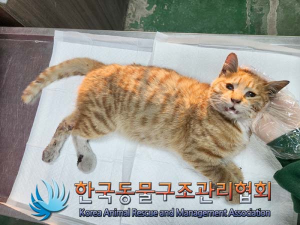 종료(자연사) 한국…