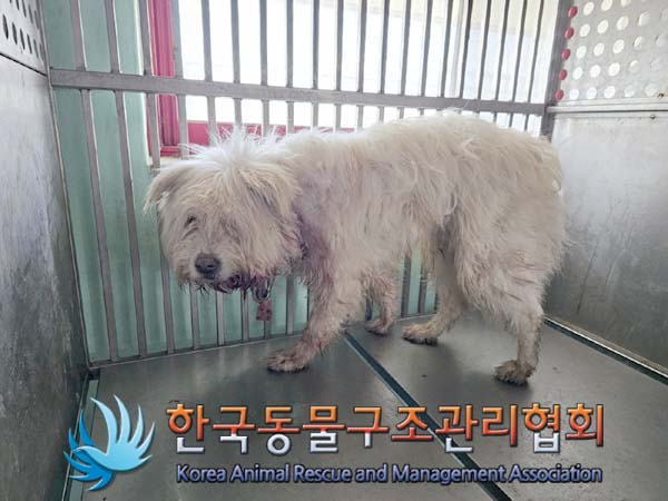 한국동물구조관리협회_441406202400119