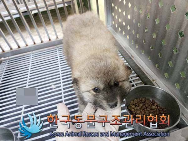 한국동물구조관리협회_441559202400051