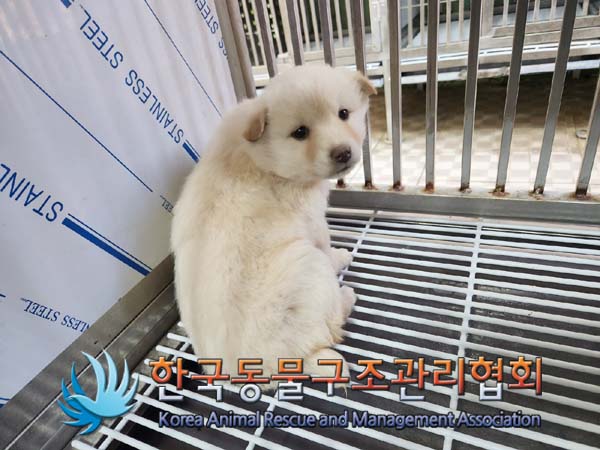 한국동물구조관리협회_441559202400053