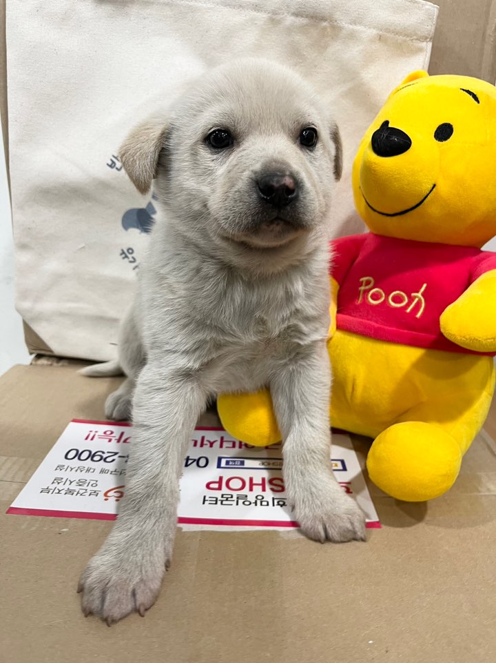 반려동물보호센터_443571202400090