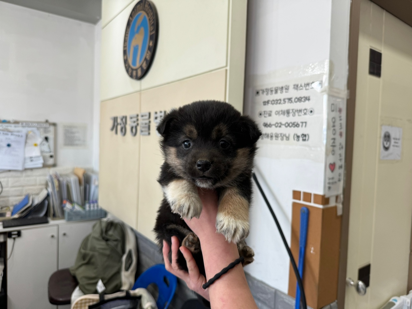 가정동물병원_428356202400067