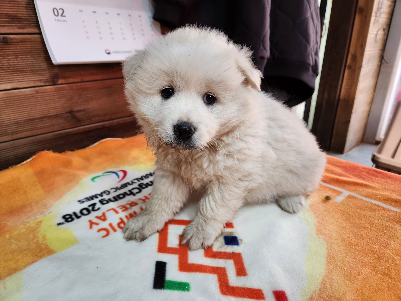 광주TNR동물병원초월_441554202400041