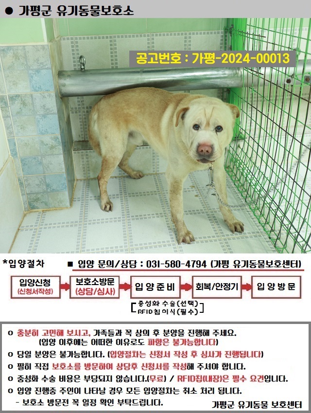 가평군유기동물보호소_441416202400013