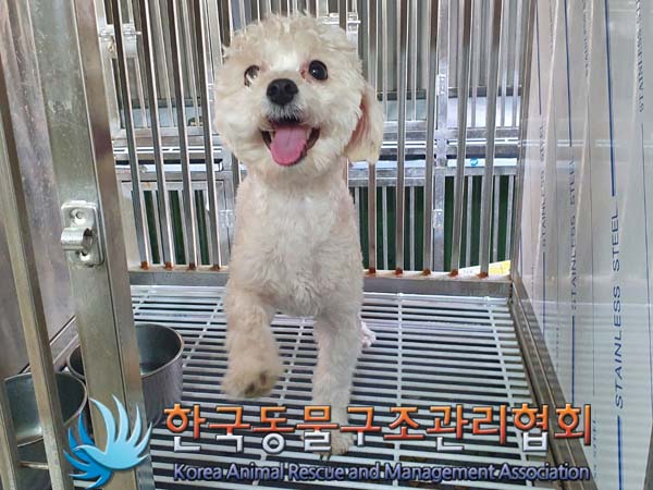 한국동물구조관리협회_411303202400008
