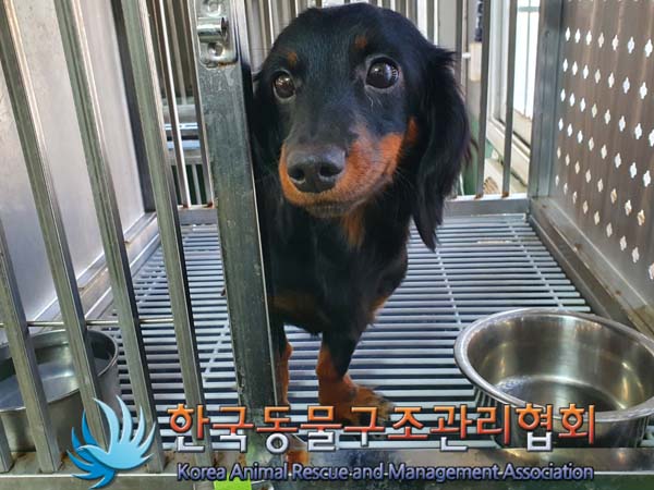 한국동물구조관리협회_411307202400007