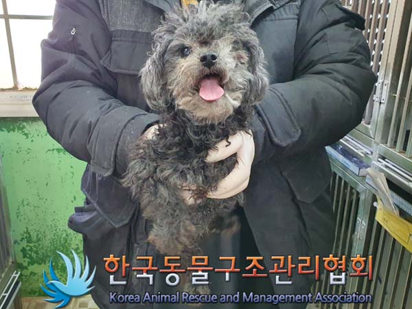 한국동물구조관리협회_441414202400048