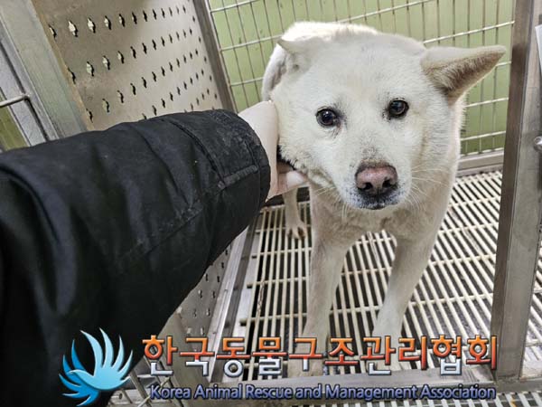 한국동물구조관리협회_441414202400050