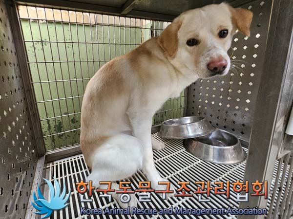 한국동물구조관리협회_411310202400007