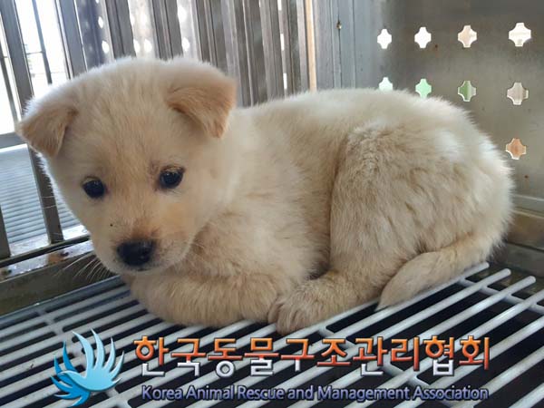 한국동물구조관리협회_441406202400126