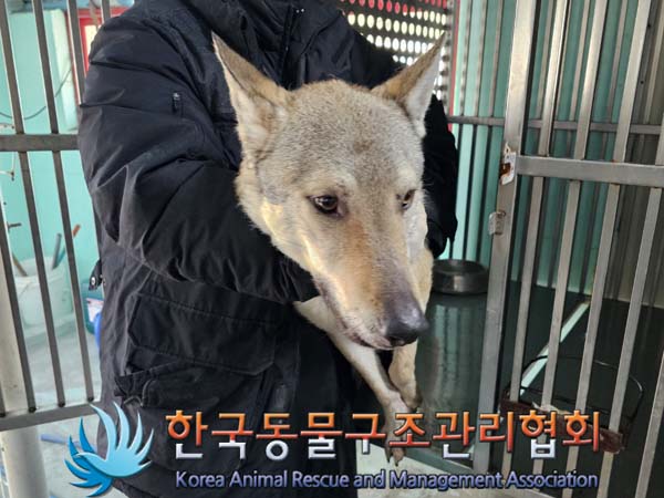 한국동물구조관리협회_441406202400121
