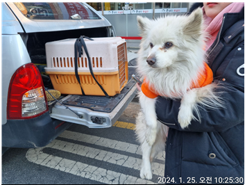 대전동물보호센터_430366202400022